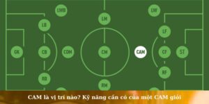cam là vị trí nào