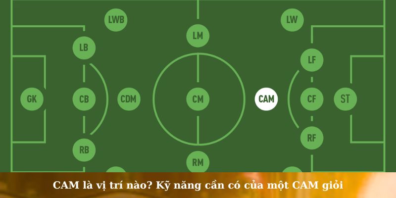 cam là vị trí nào