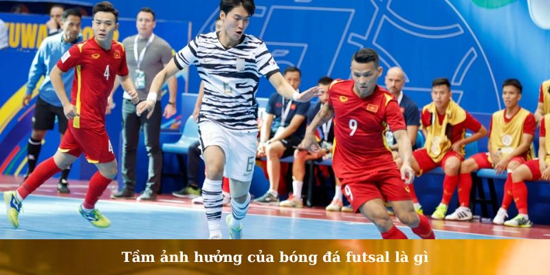  bóng đá futsal là gì